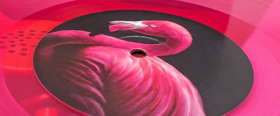 flamingo